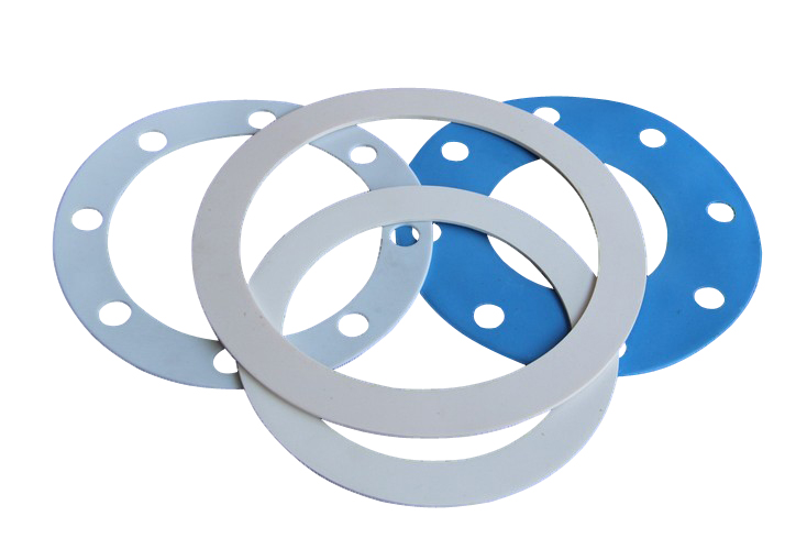 Kusintha kwa PTFE Gasket